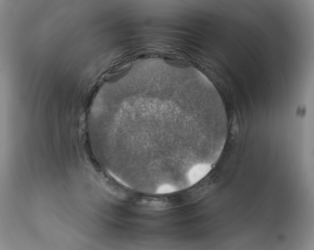 X0000112010559200909141128