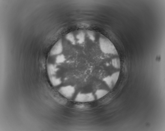 X0000112010561200909141128