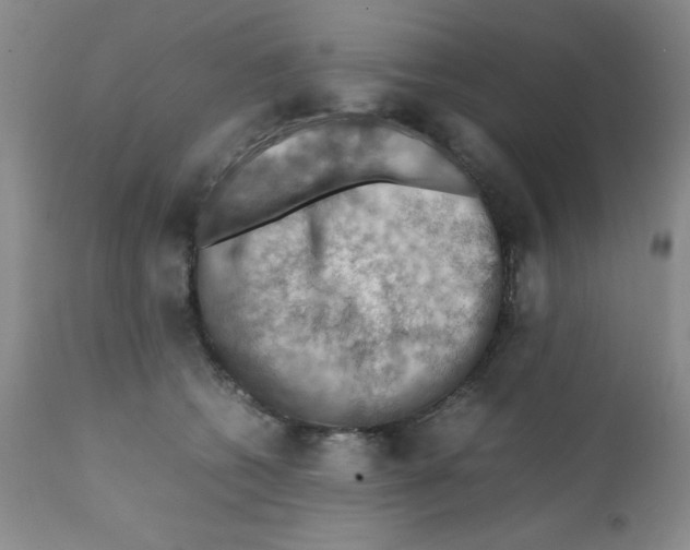 X0000112010562200909141128
