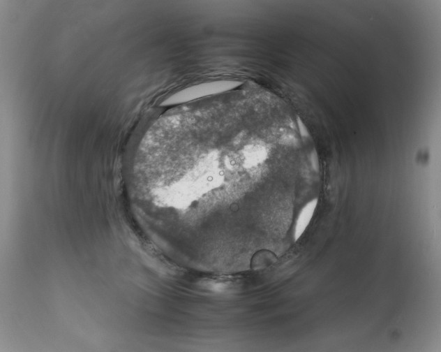 X0000112010563200909141128