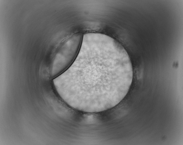 X0000112010564200909141128