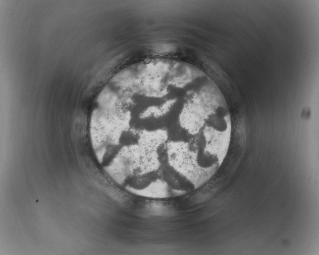 X0000112010565200909141128