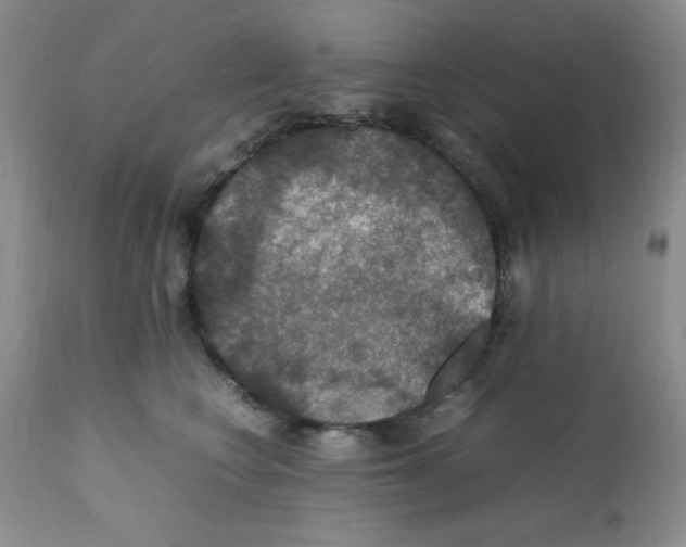 X0000112010566200909141128