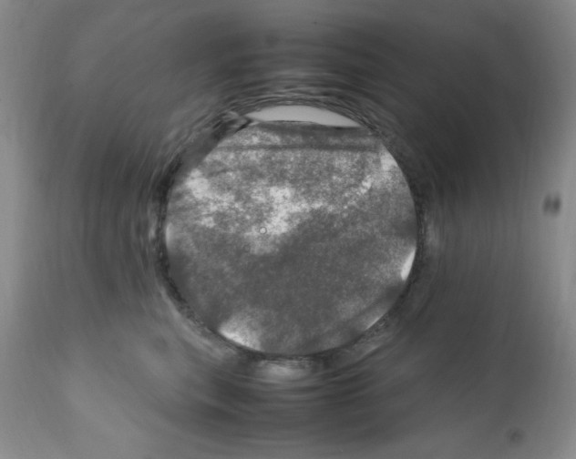 X0000112010567200909141128