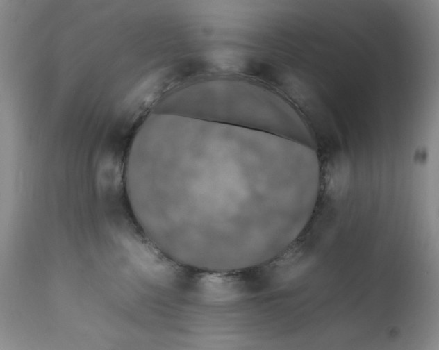 X0000112010568200909141128