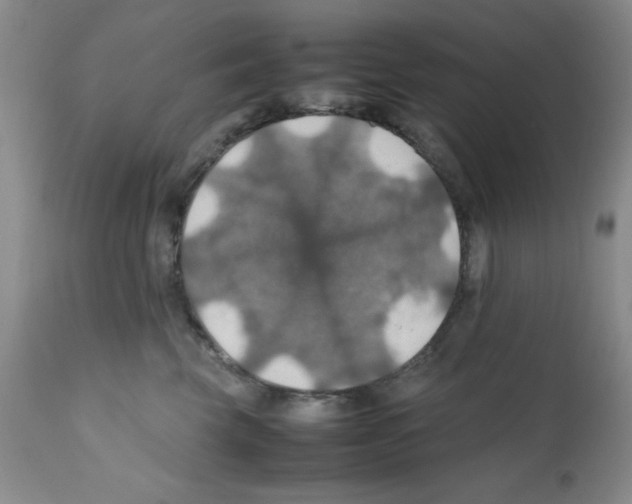 X0000112010569200909141128