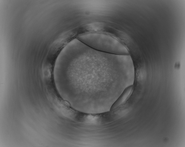 X0000112010570200909141128