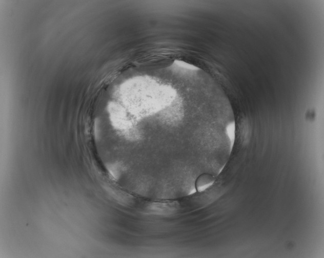 X0000112010571200909141128