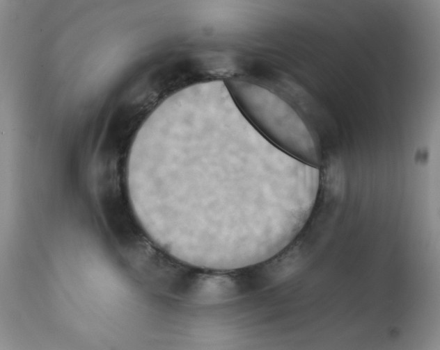 X0000112010572200909141128