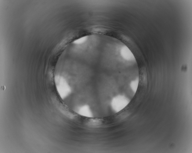X0000112010573200909141128