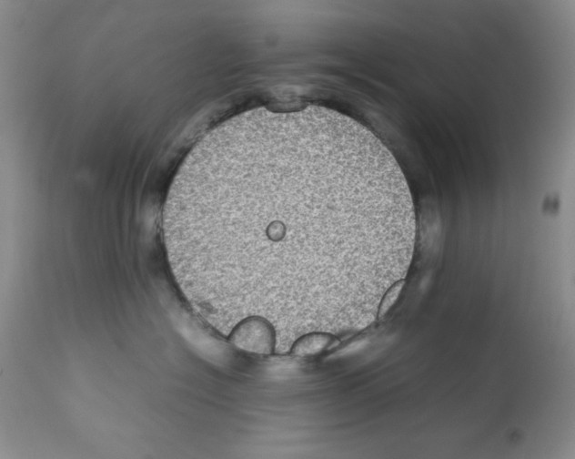 X0000112010574200909141128
