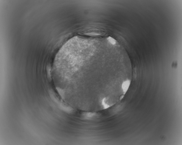 X0000112010575200909141128