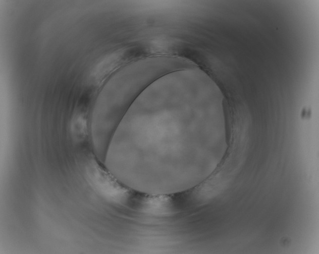 X0000112010576200909141128