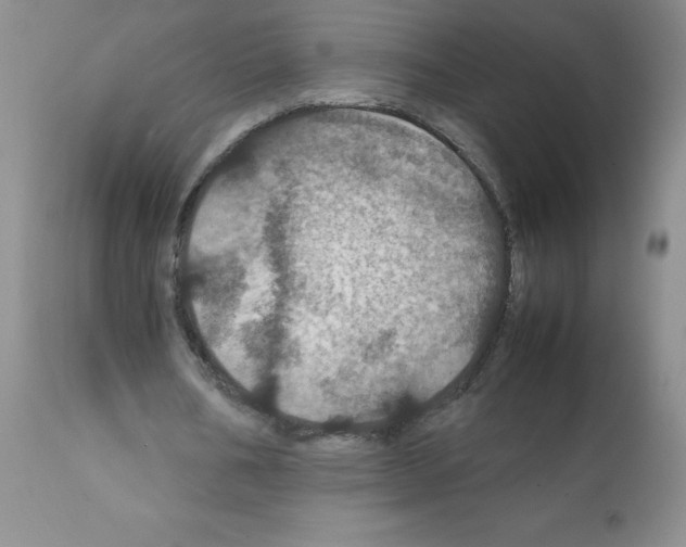 X0000112010578200909141128