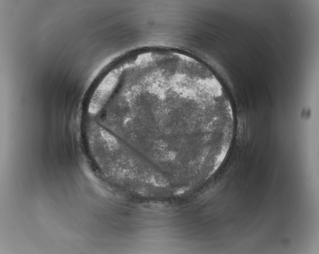 X0000112010580200909141128