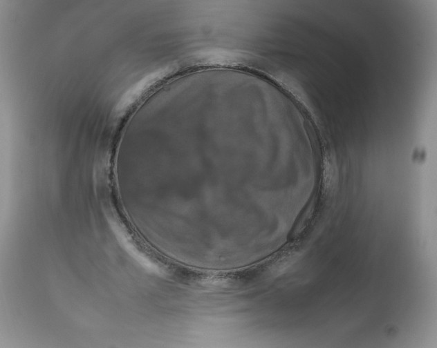 X0000112010581200909141128