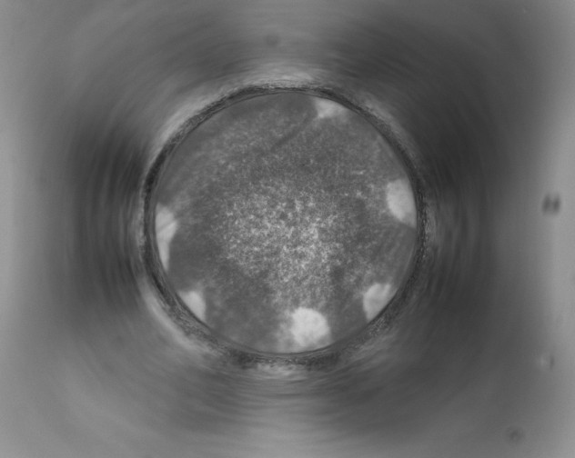 X0000112010582200909141128