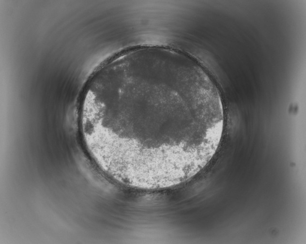 X0000112010584200909141128