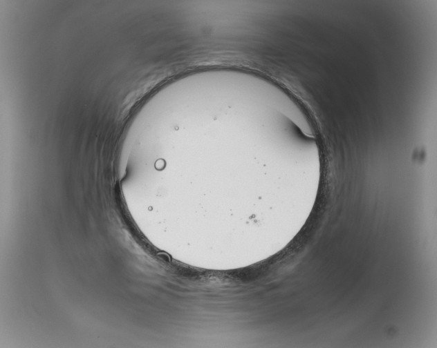 X0000112010585200909141127