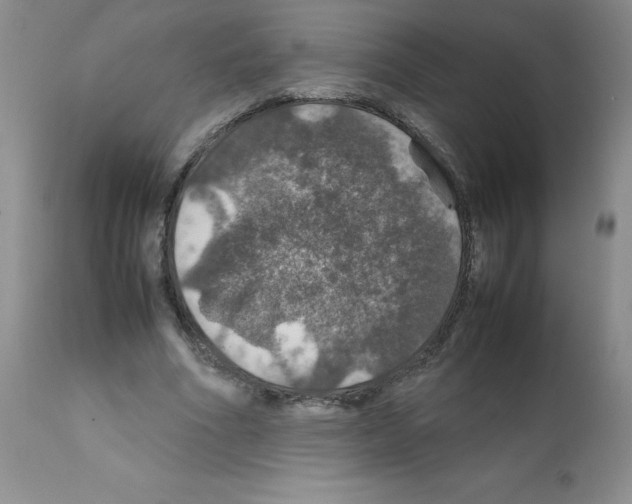 X0000112010586200909141127