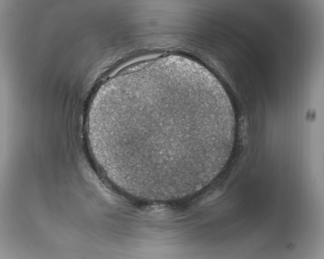X0000112010589200909141127