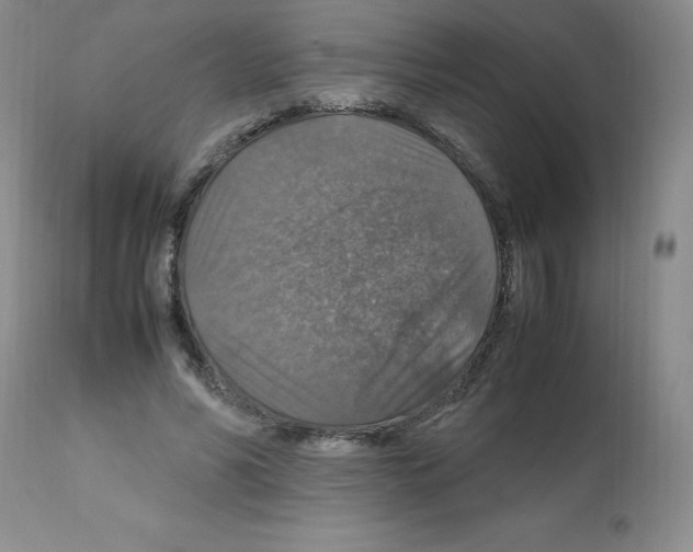 X0000112010590200909141127