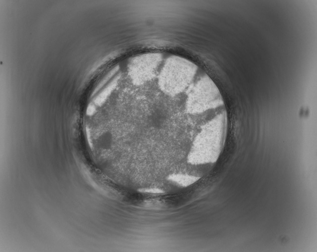 X0000112010591200909141127