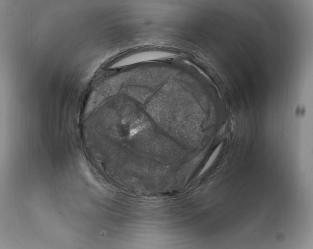 X0000112010592200909141127