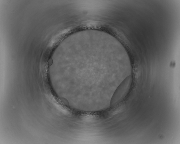 X0000112010593200909141127