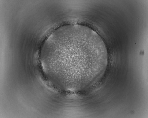 X0000112010594200909141127