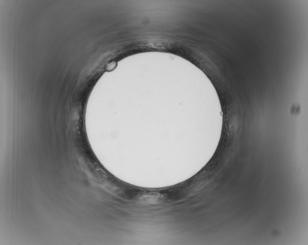 X0000112010595200909141127
