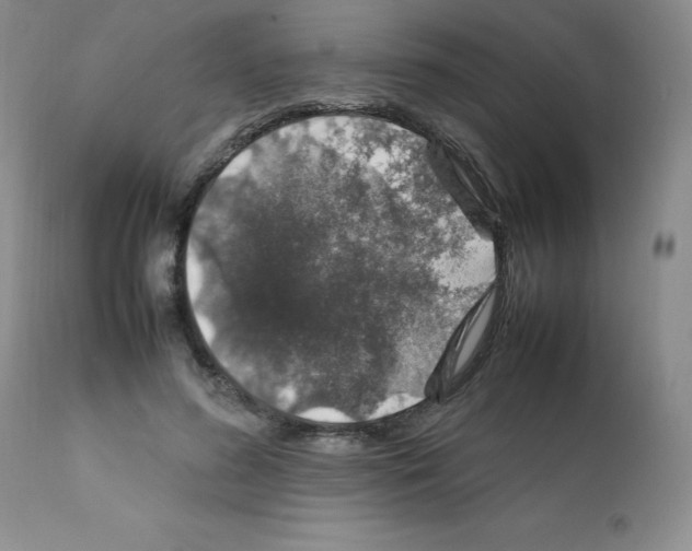 X0000112010596200909141127