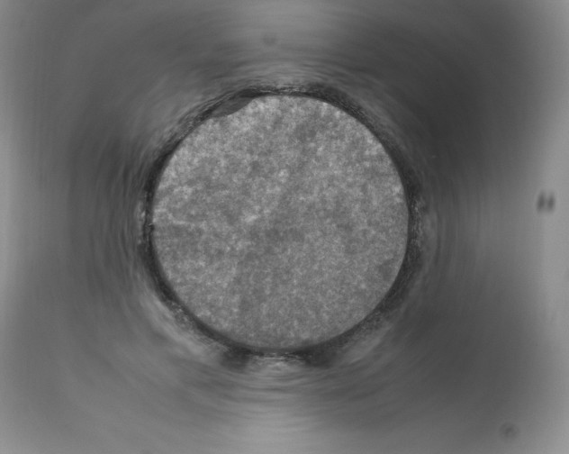 X0000112010597200909141127