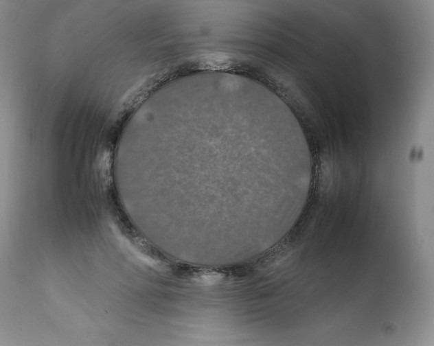 X0000112010598200909141127