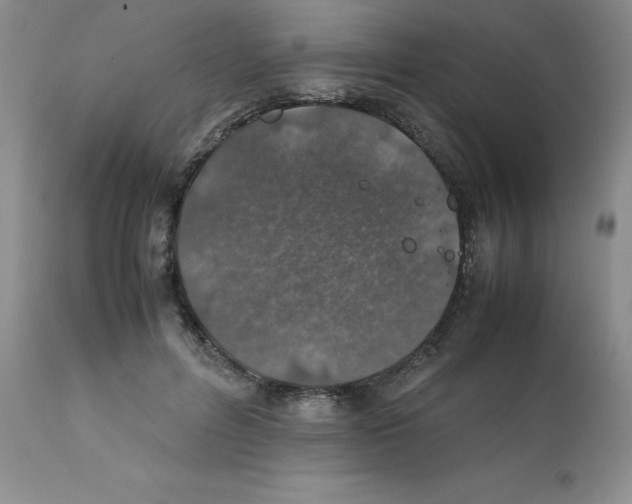 X0000112010600200909141127