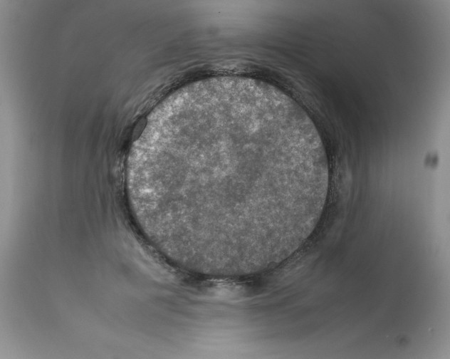 X0000112010601200909141127