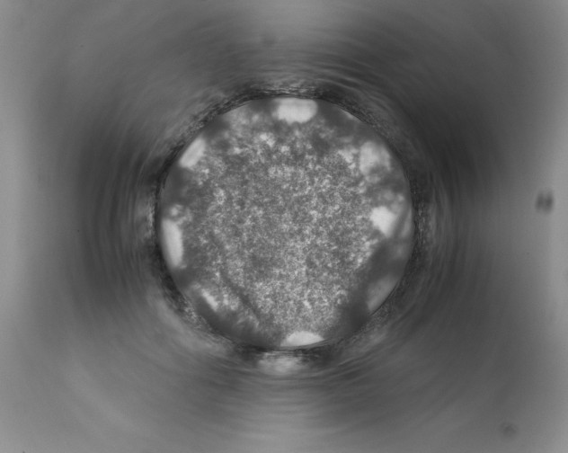 X0000112010602200909141127