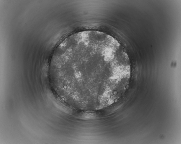 X0000112010604200909141127