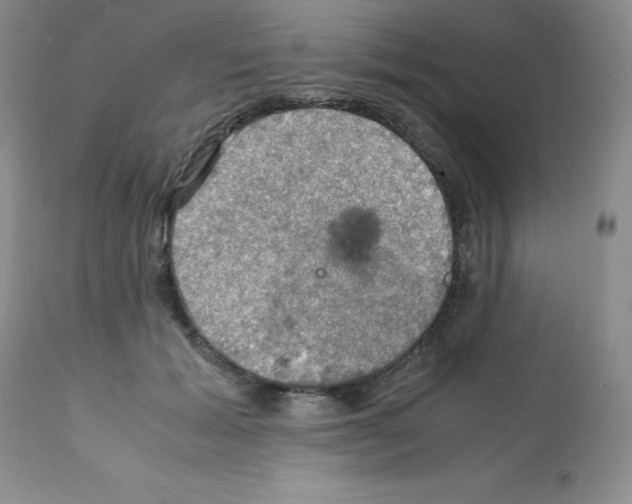 X0000112010605200909141127