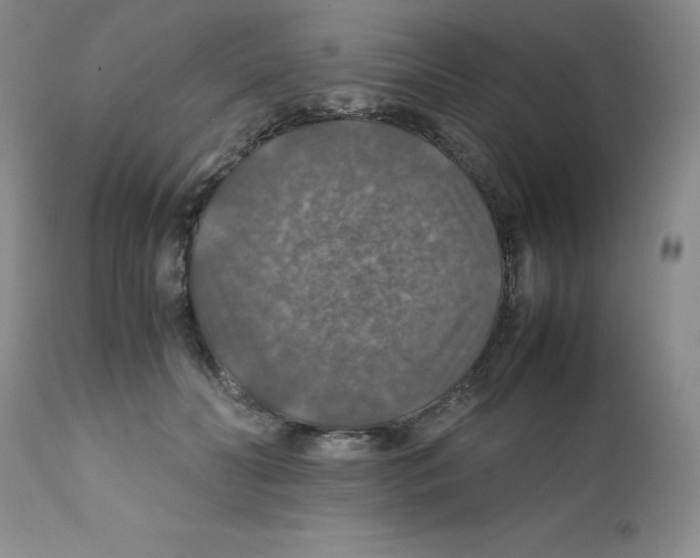 X0000112010606200909141127