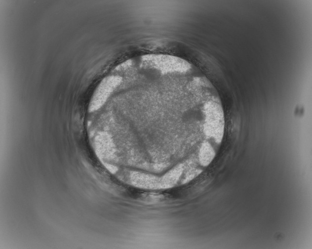 X0000112010607200909141127
