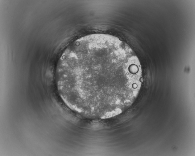 X0000112010608200909141127