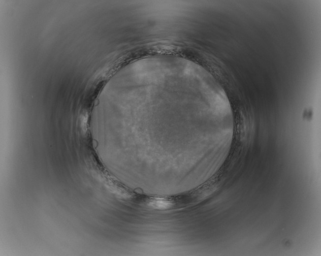 X0000112010610200909141127