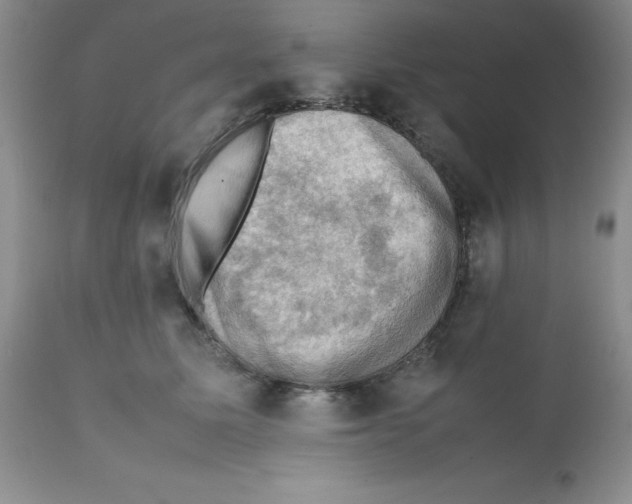X0000112010611200909141127