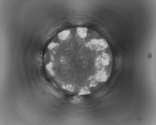 X0000112010612200909141127