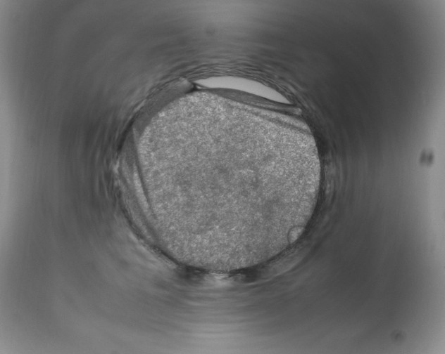 X0000112010613200909141127