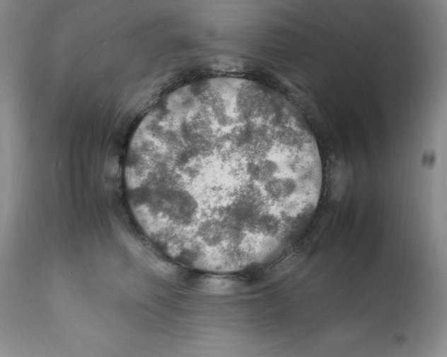 X0000112010614200909141127