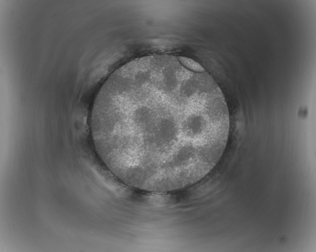 X0000112010615200909141127