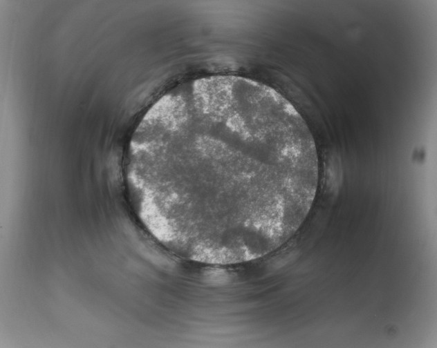 X0000112010616200909141127