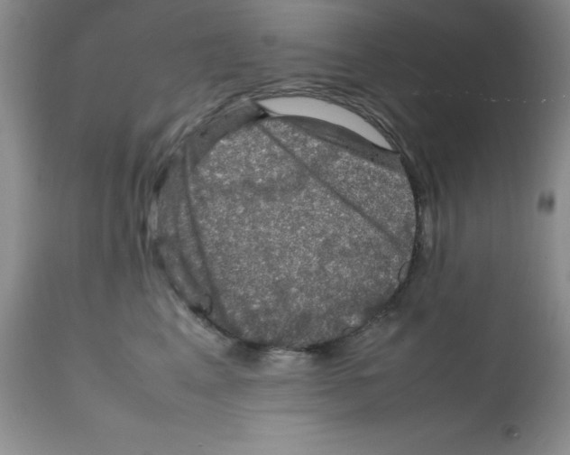 X0000112010617200909141127